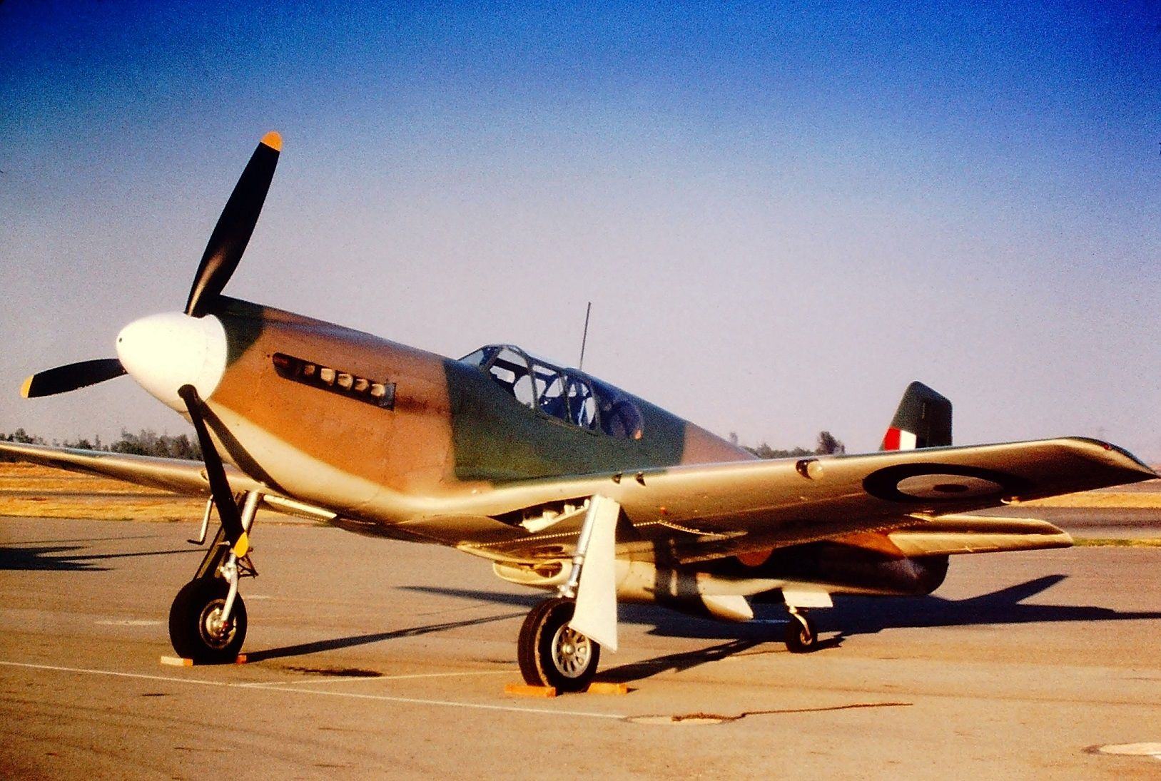 P-51A in color -  RAF scheme_resized.jpg