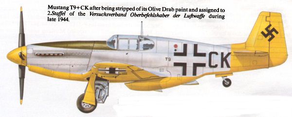P51 T9+CK after olive drab removed