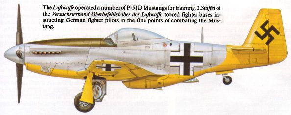 P51D in German Markings