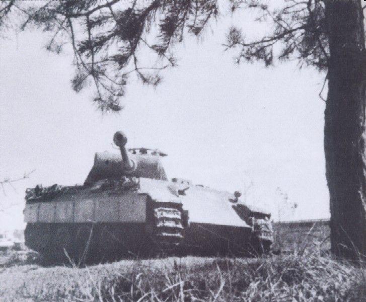 Panther Ausf A or G