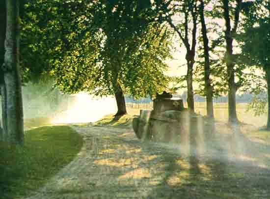 Panzers under trees in France 1940