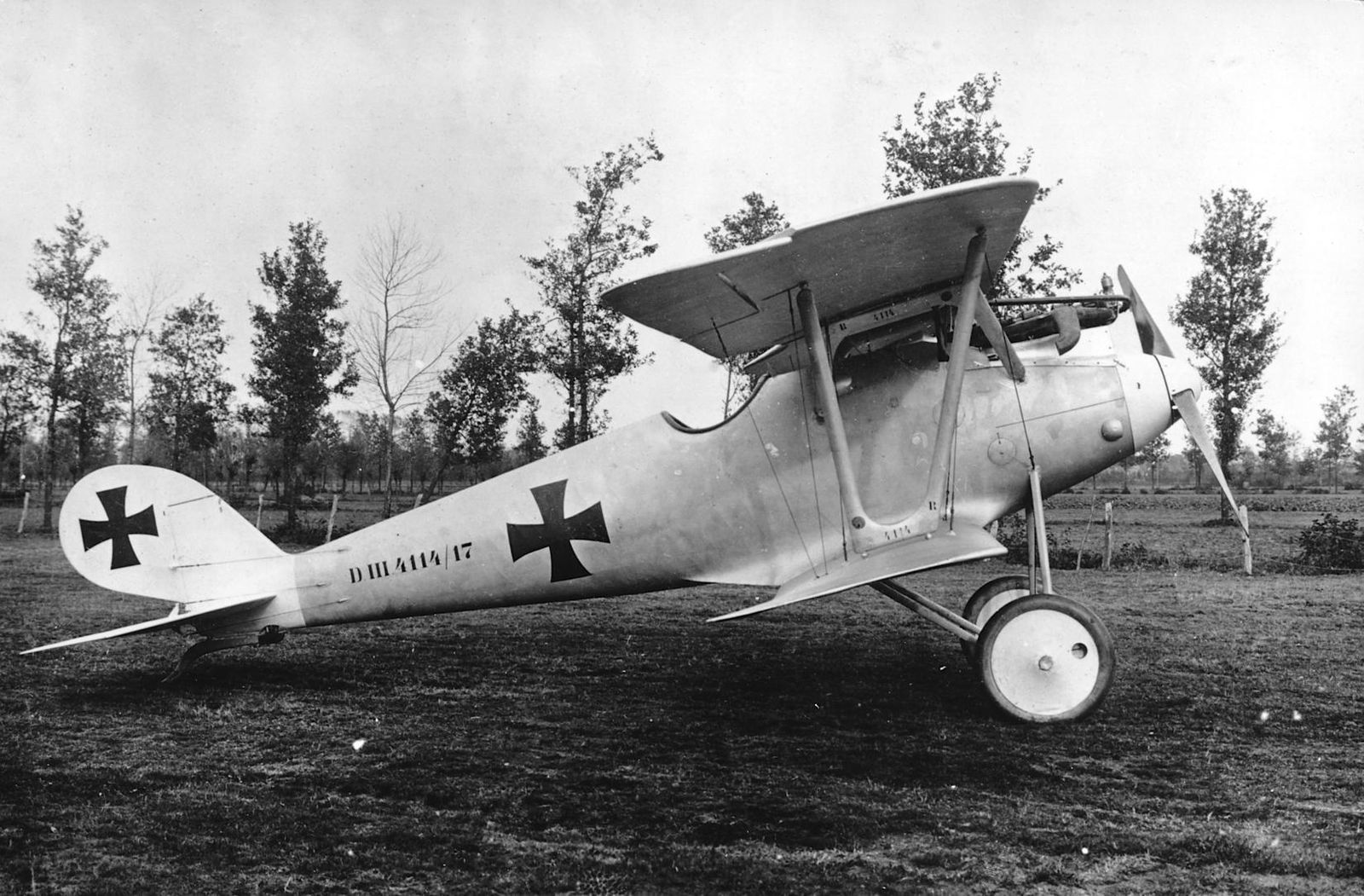 Pfalz D.III  no. 4114/17