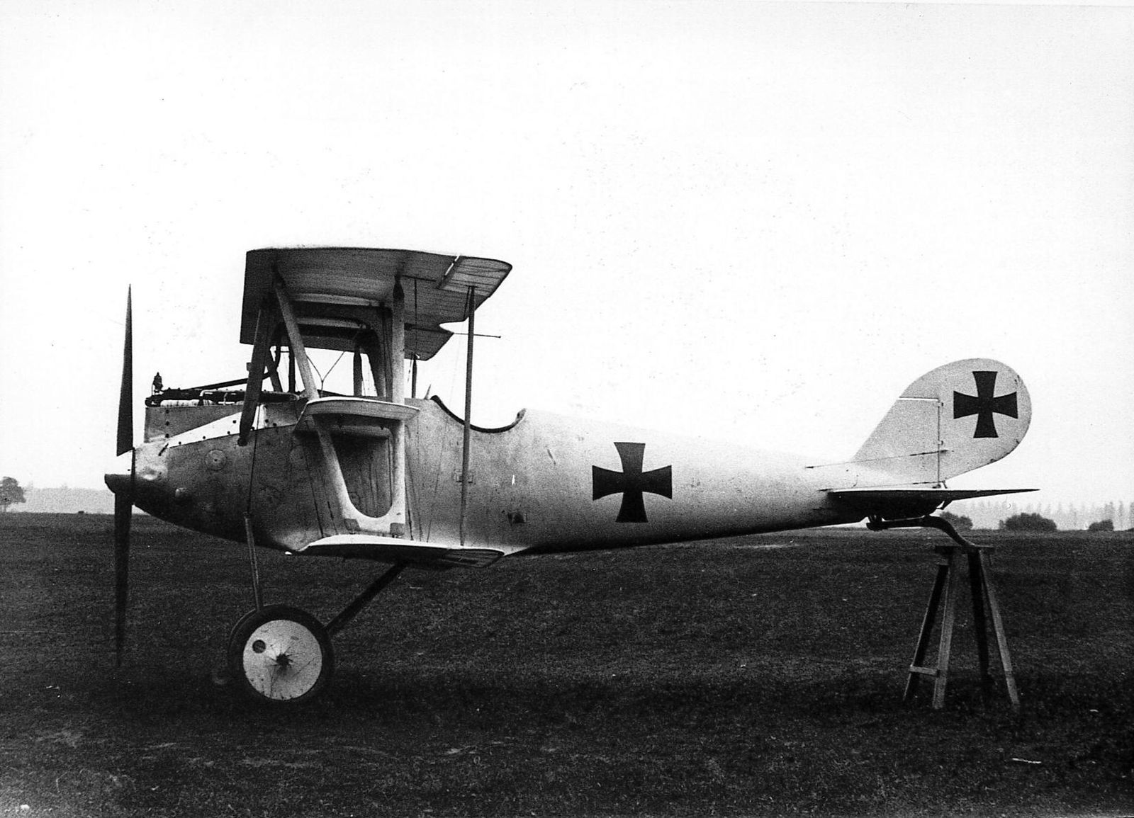 Pfalz D.III Triplane
