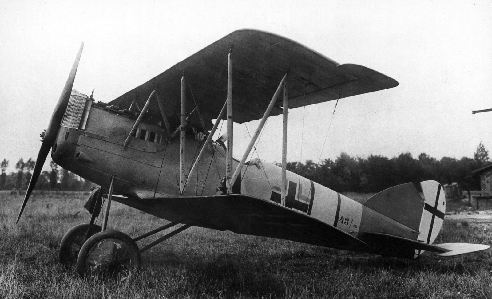 Pfalz D.XII