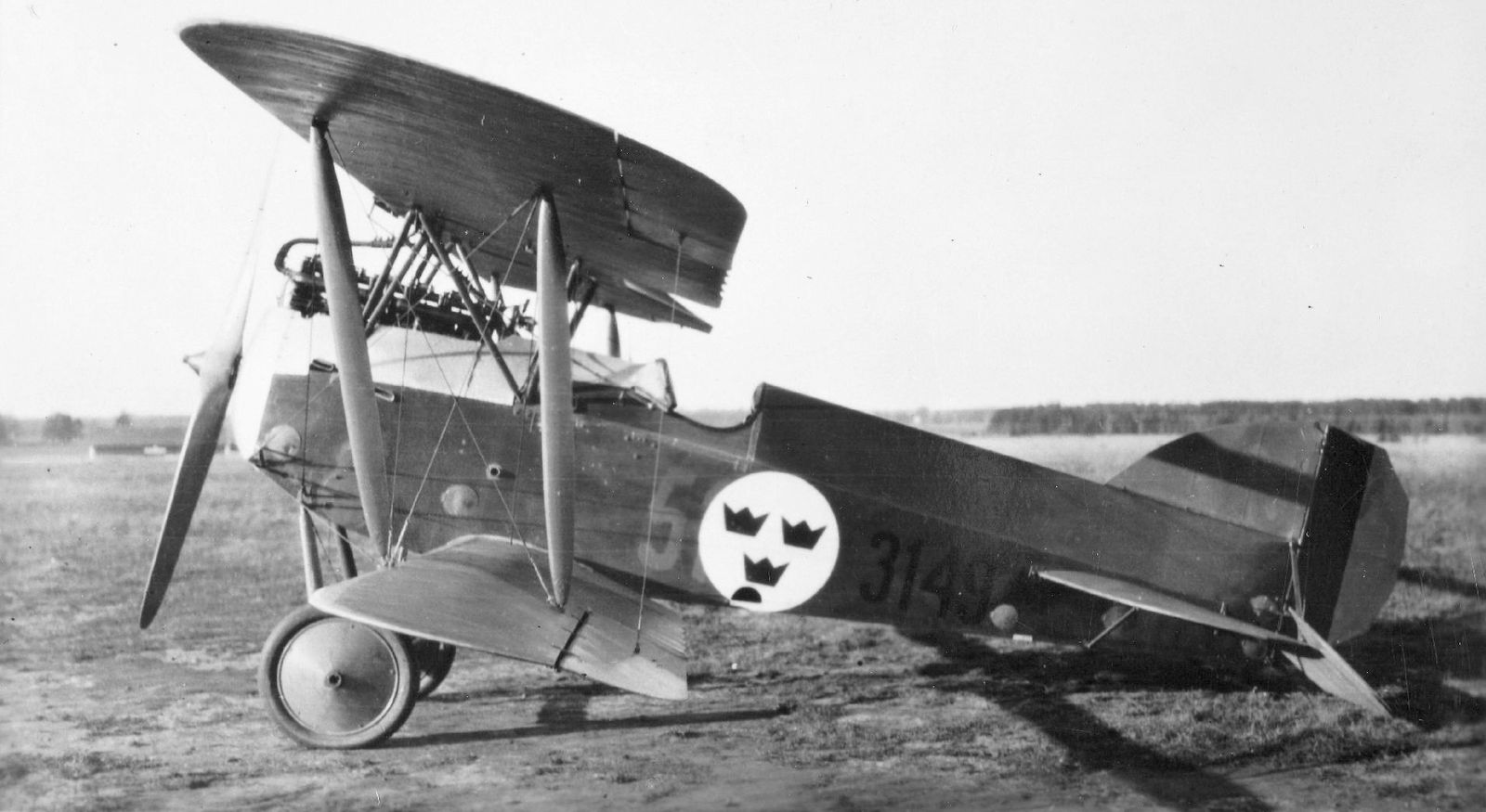 Phönix D.III, Swedish AF