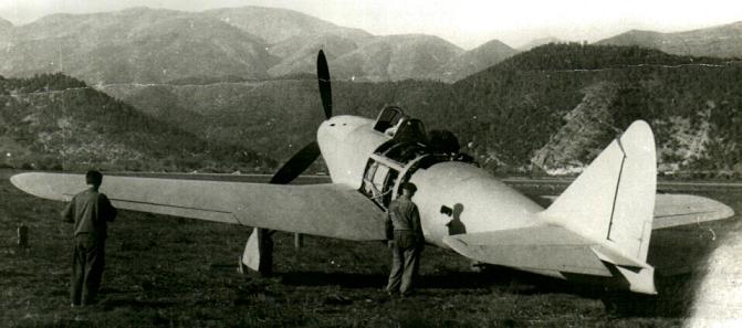 Piaggio P.119