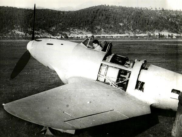 Piaggio P.119