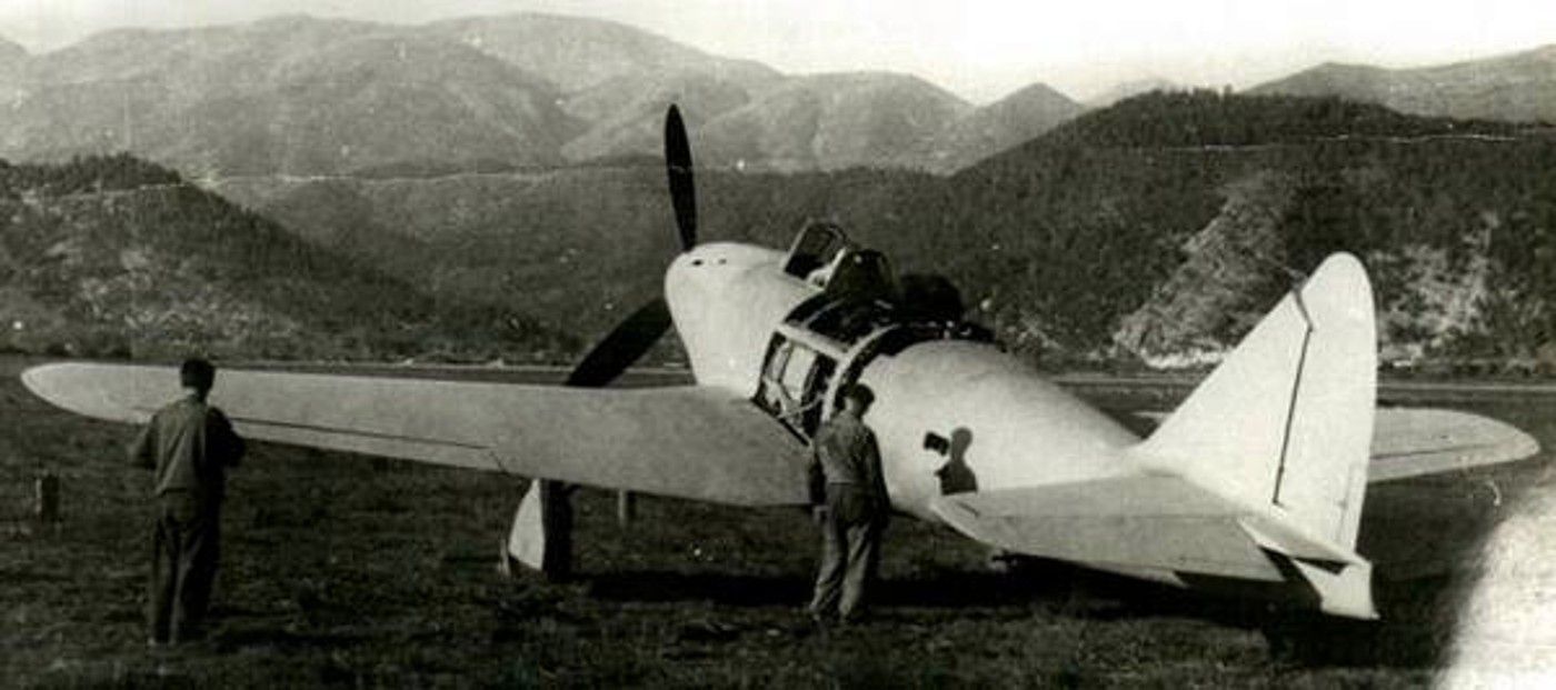 Piaggio_P_119