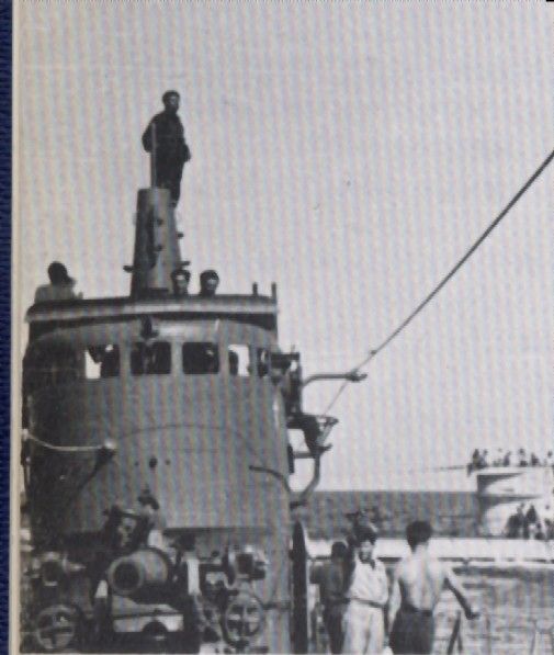 Pietro Calvi Aircraft of World War II Forums