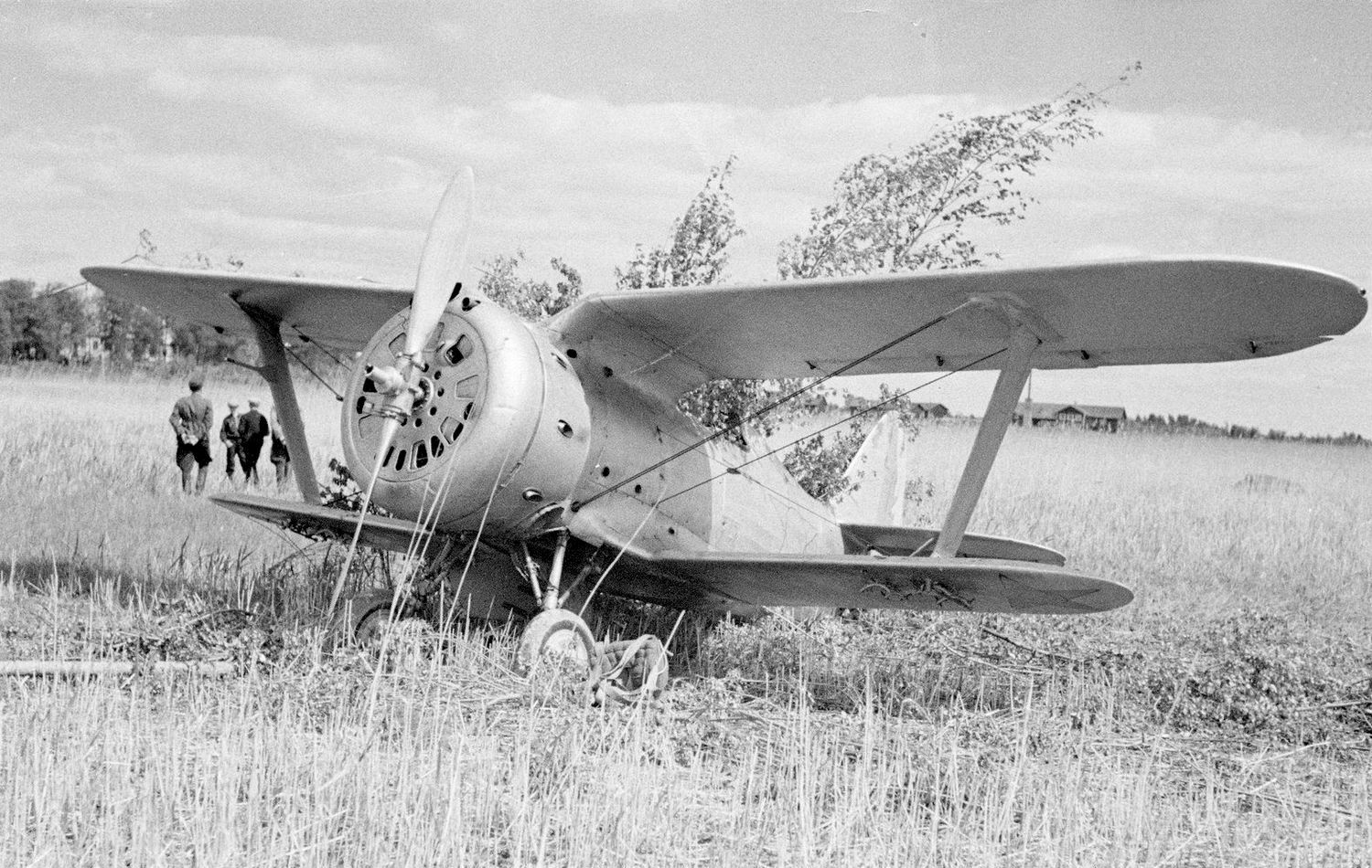 Polikarpov I-153 "Red 12" (1)
