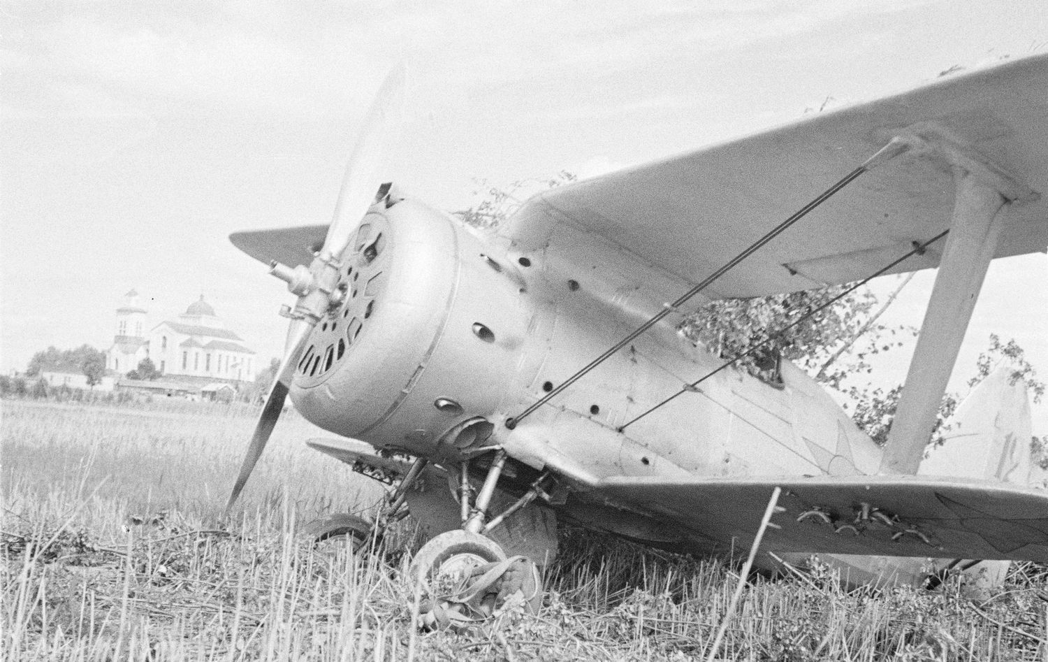 Polikarpov I-153 'Red 12" (2)