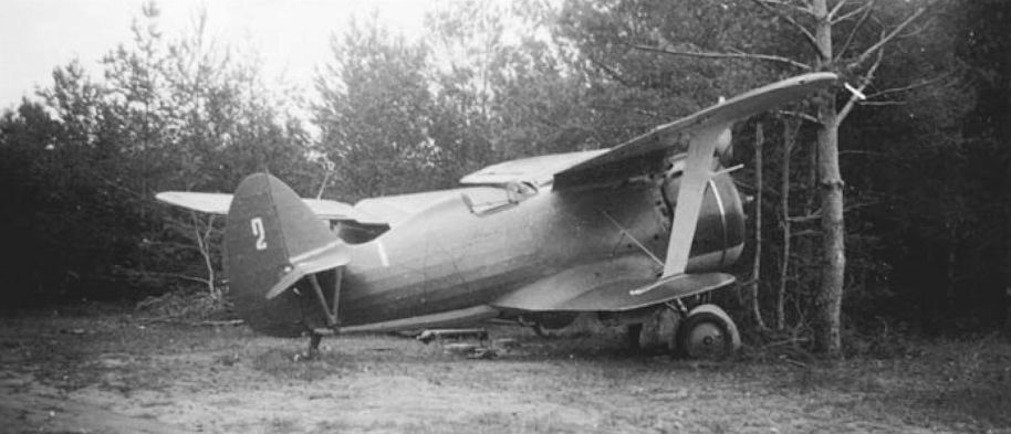 Polikarpov I-153 "White 2",  42 IAP, 1941