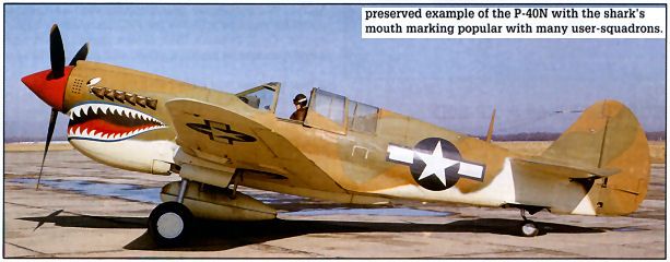 Preserved Example of P-40N with sharks mouth.jpg
