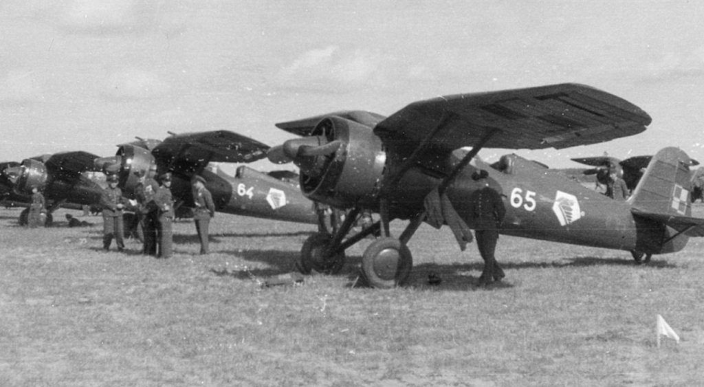 PZL P-11c  "White 65" & "White 64",  142 FS, 4 Air Regiment