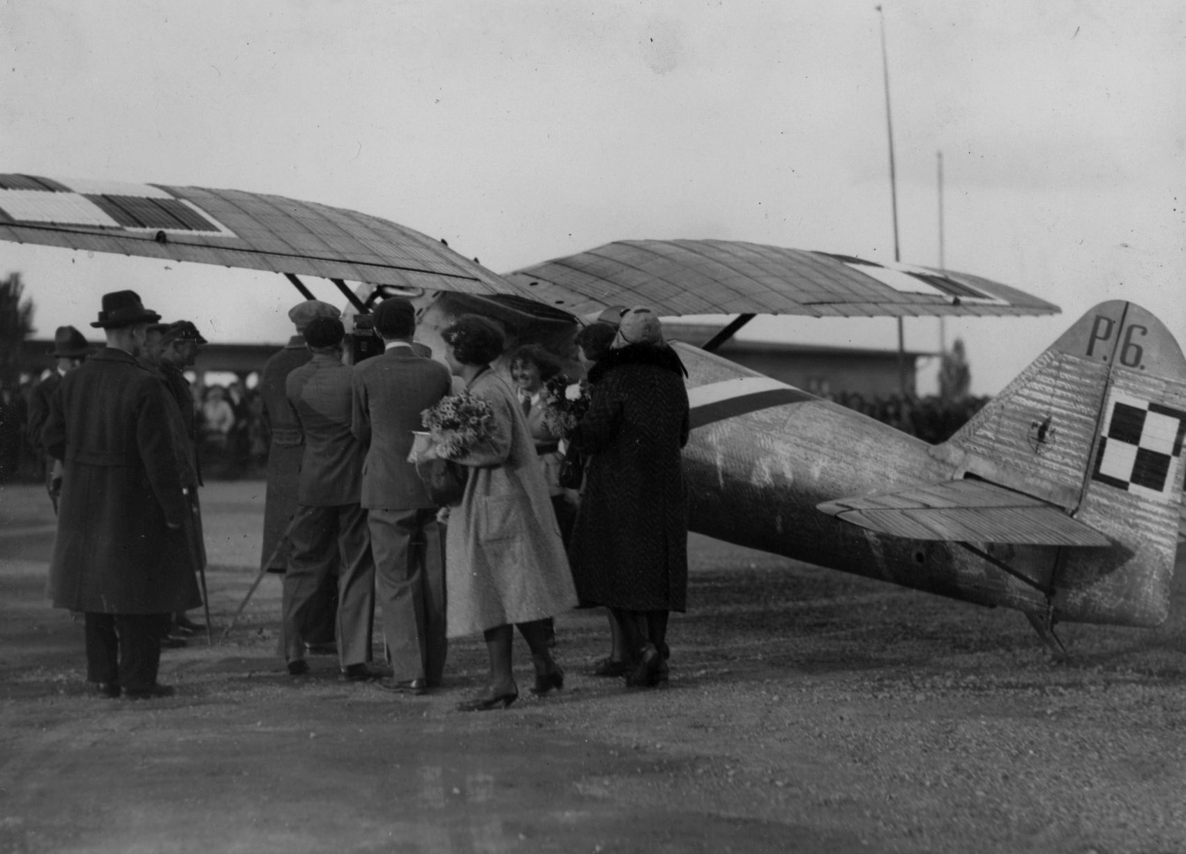 PZL P-6, NAR, Cleveland, USA, 1931 (5)