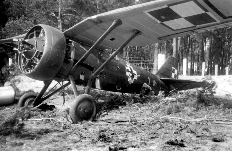 PZL P-7 "Blue 1", 151 FS,  1939 (1)