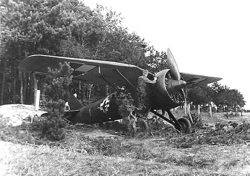 PZL P-7 "Blue 1", 151 FS,  1939 (2)