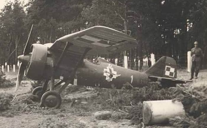 PZL P-7 "Blue 1", 151 FS,  1939 (3)