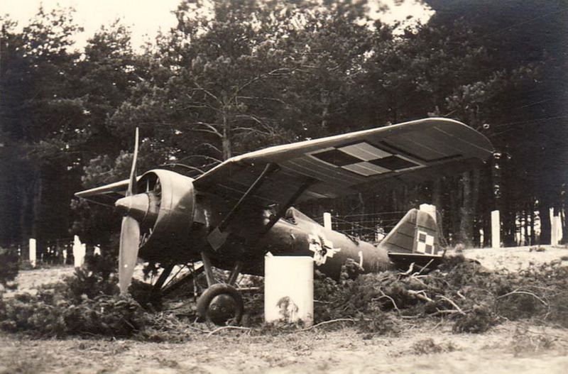 PZL P-7 "Blue 1", 151 FS,  1939 (4)