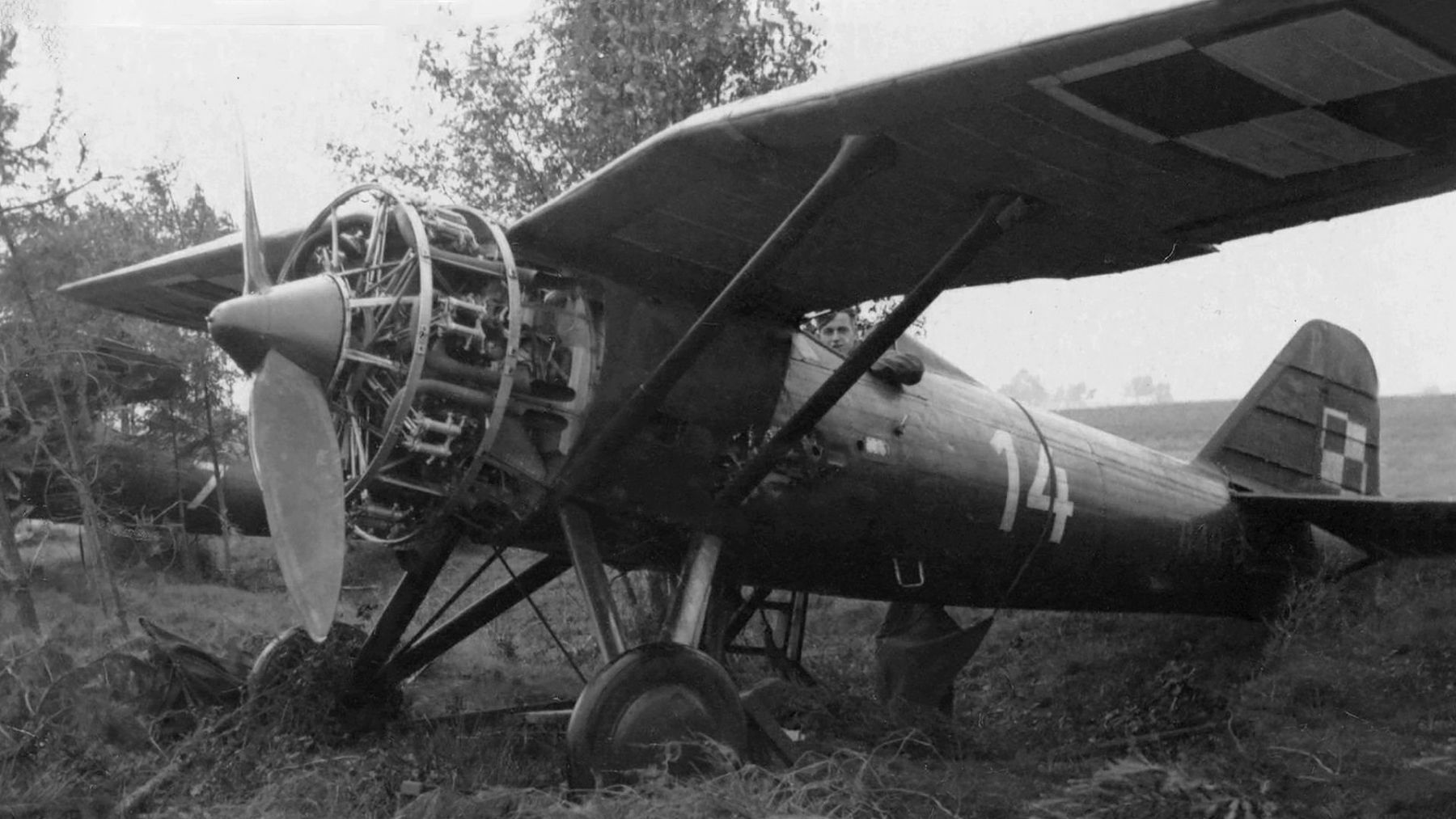 PZL P.7a "White 14", the military no. 6.49, abandoned at the Ułęż airfield in1939