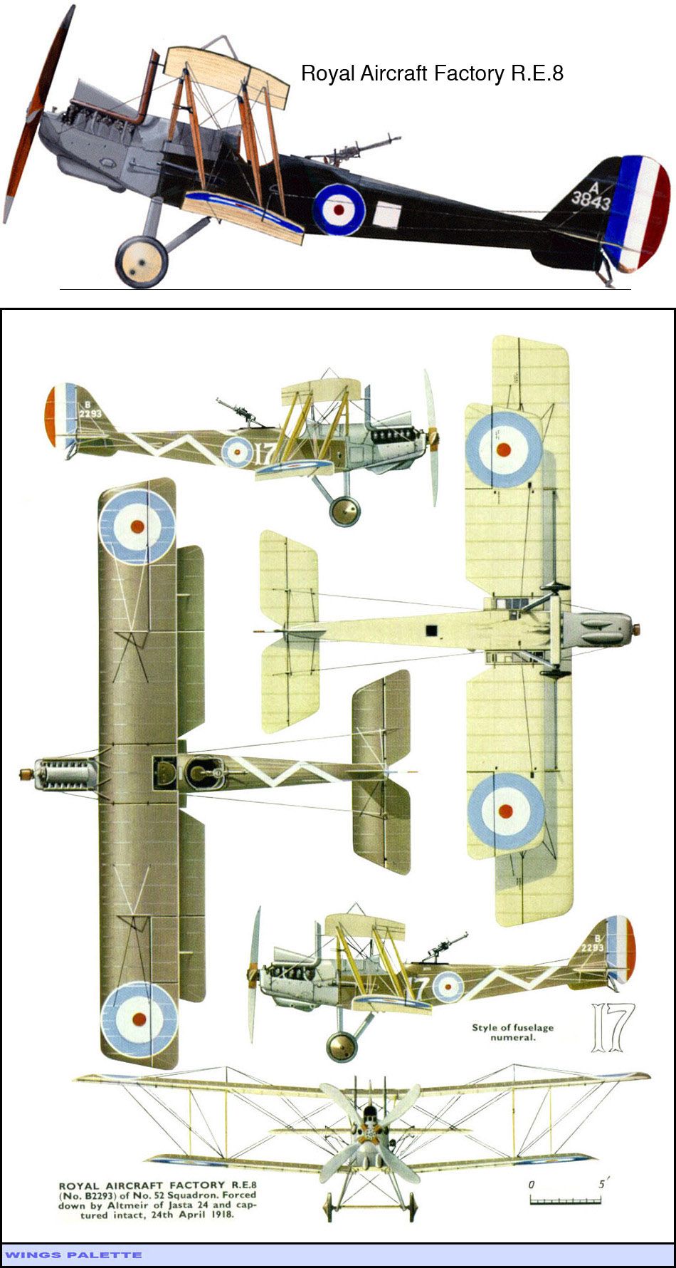 Royal Aircraft Factory R.E.8