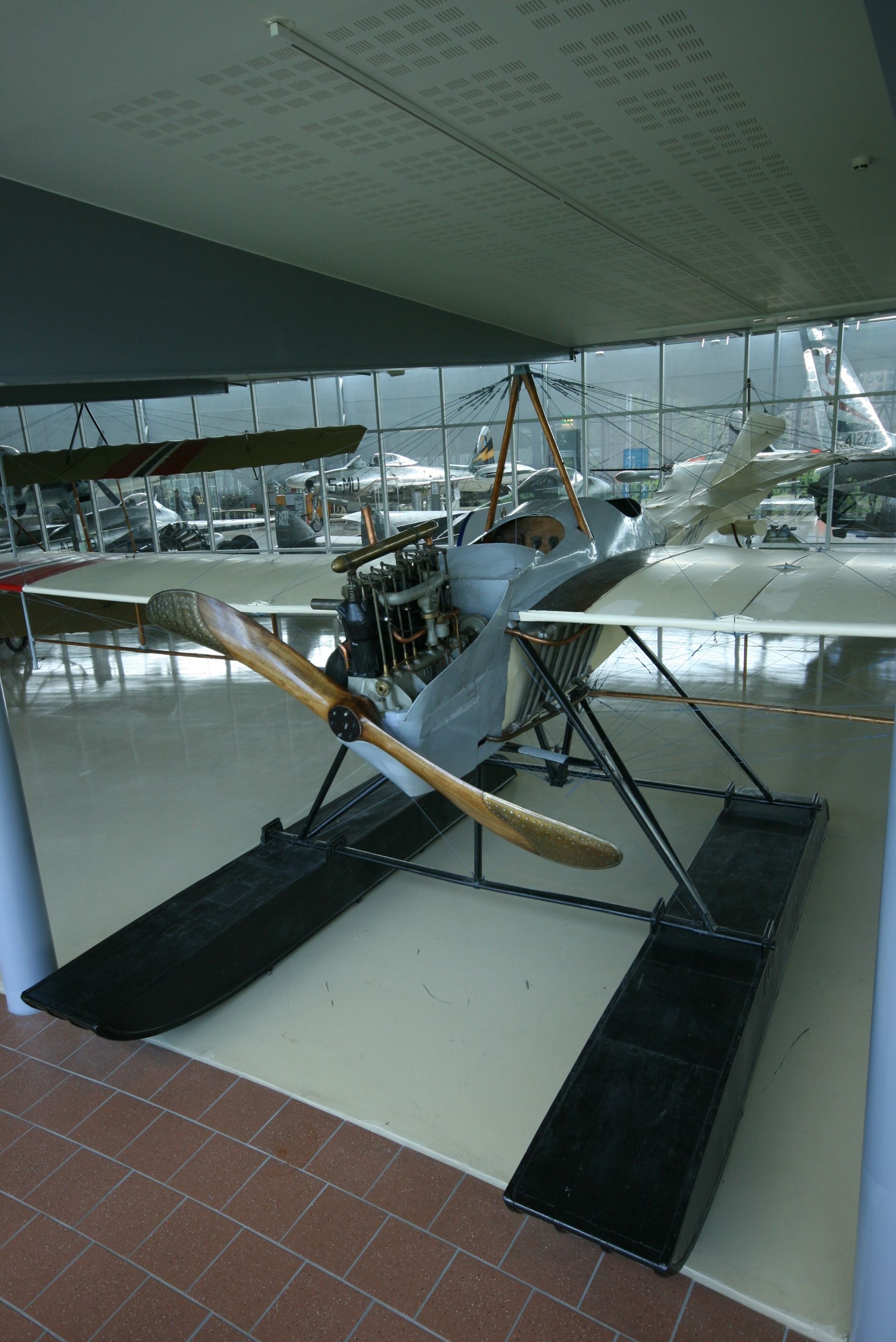 rumpler taube