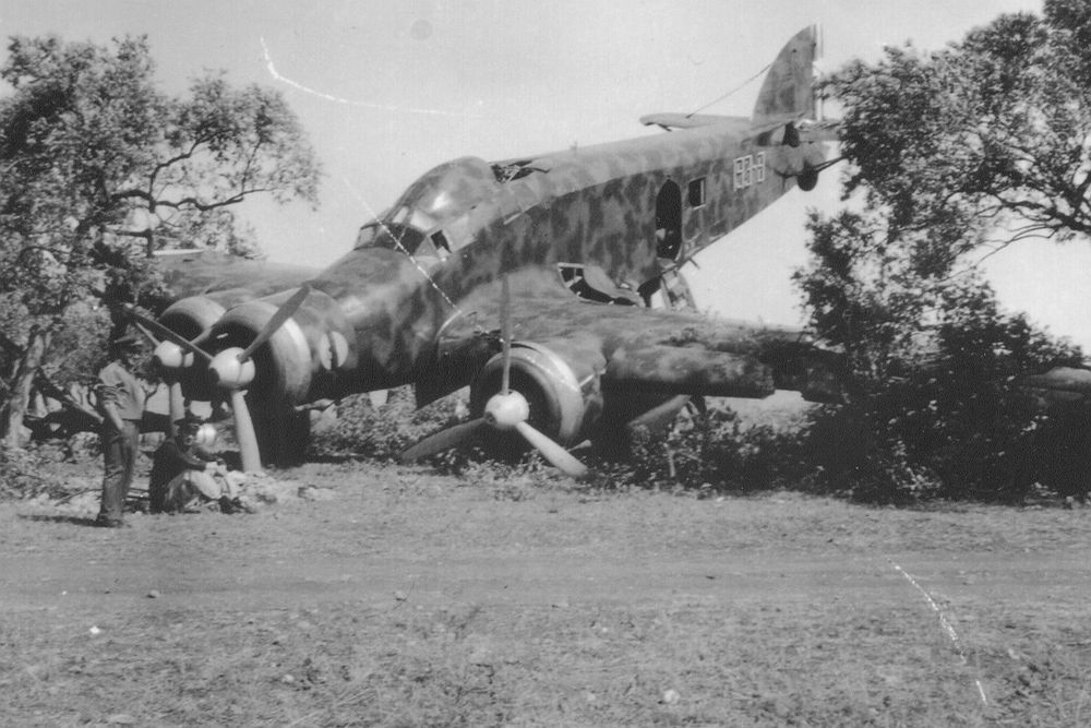 Savoia-Marchetti SM.79 Sparviero crashed (2)