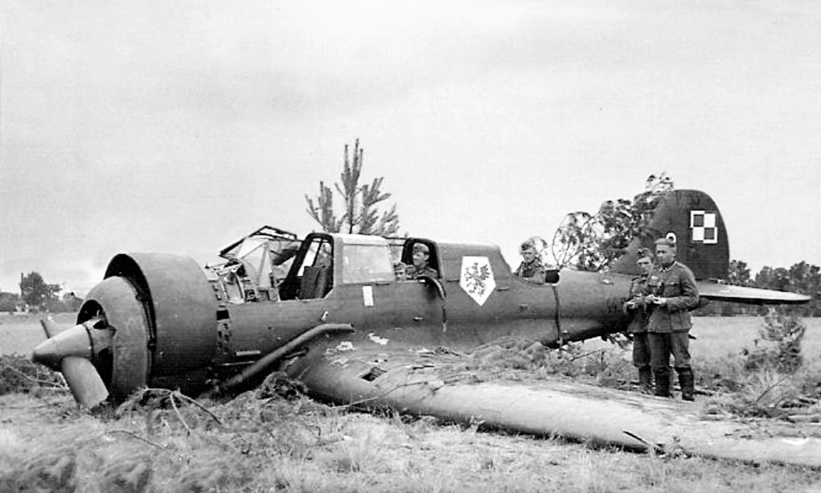 Shot down PZL 23 Karaś "White 8", s/n. 44.217, 41 Squadron, 1939 (8)