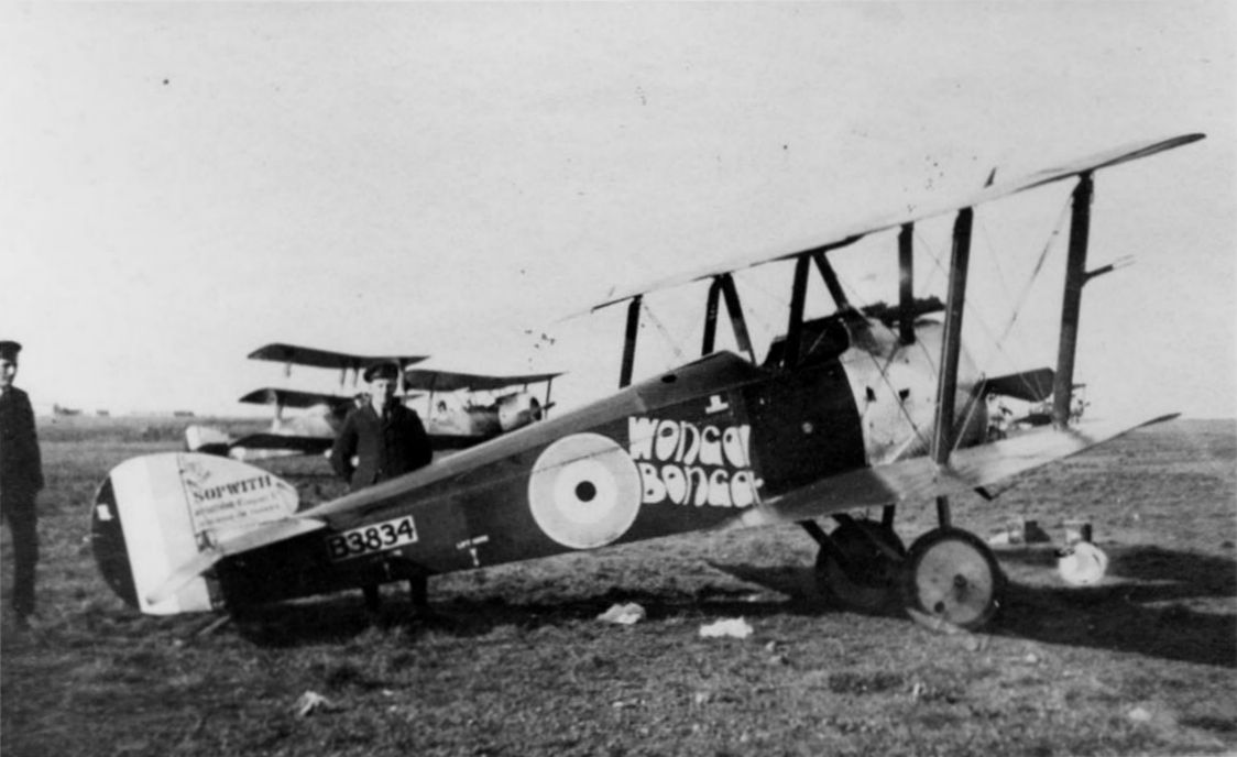 Sopwith Camel F.1 no. B3834 "Wonga-Bonga"