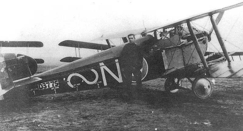 Sopwith Dolphin no. D3775, 87 Squadron,  France, 1918