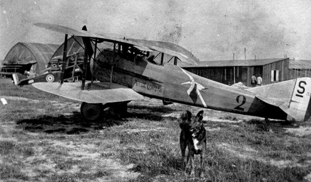 SPAD S.XIII C.1, Escadrille 3, 1917