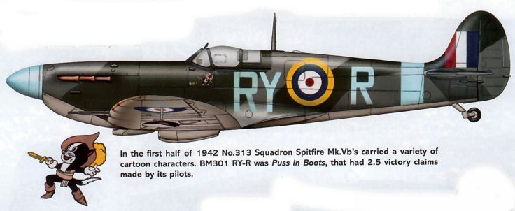 Spitfire Mk Vb RY-R BM301 313sdn
