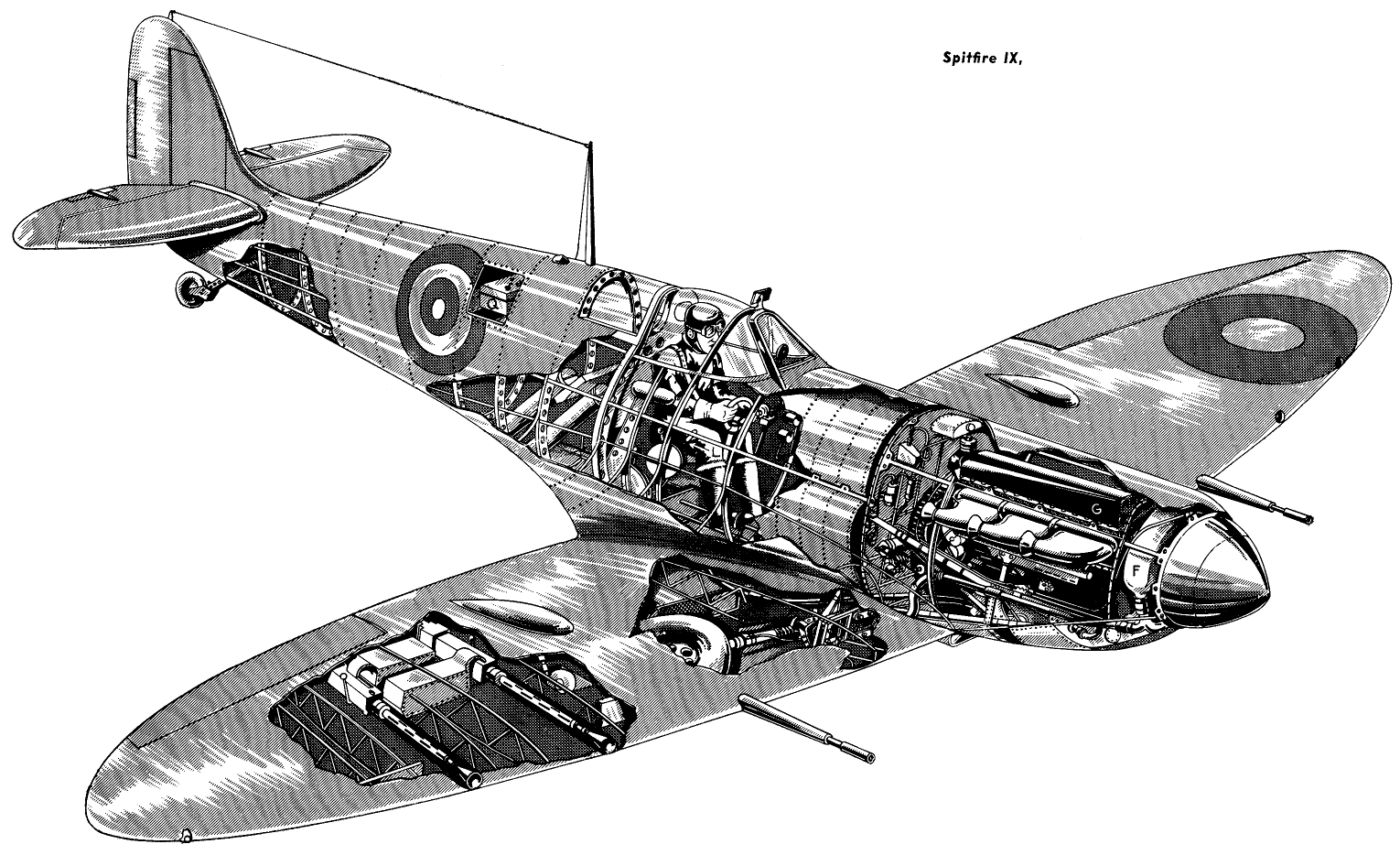 Spitfire_Av_sk_4307_cutaway