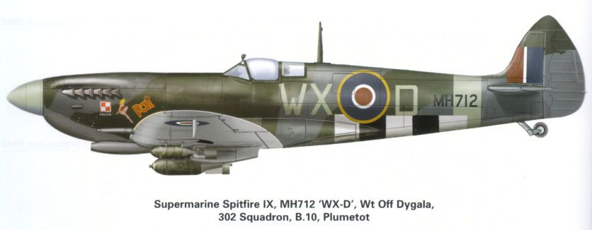 Spitfire_Mk_IX_WX-D_302sdn_polish