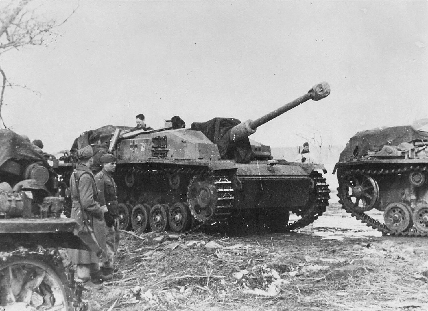 StuG_III_3rd_March_1943