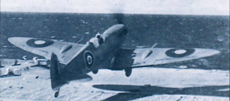 Supermarine Seafire Mk.IIC