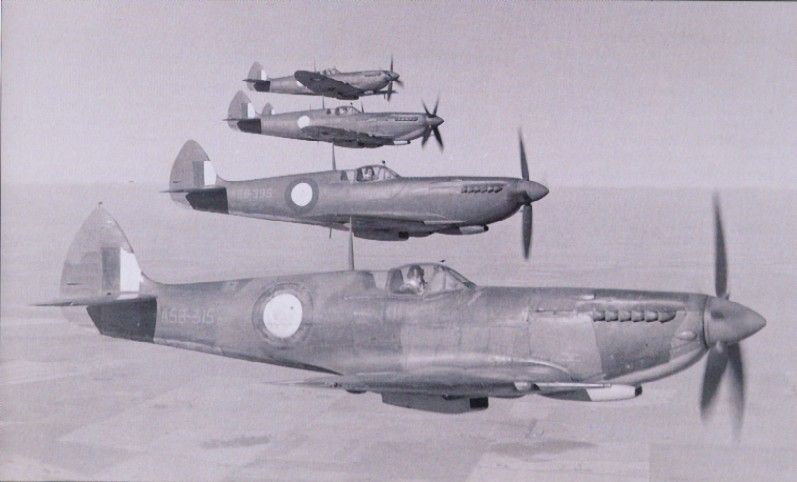 Supermarine Spitfire LF Mk.VIII