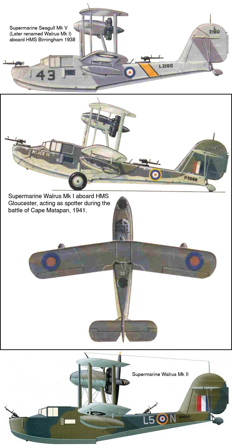 Supermarine Walrus