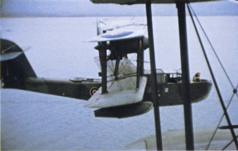 Supermarine Walrus