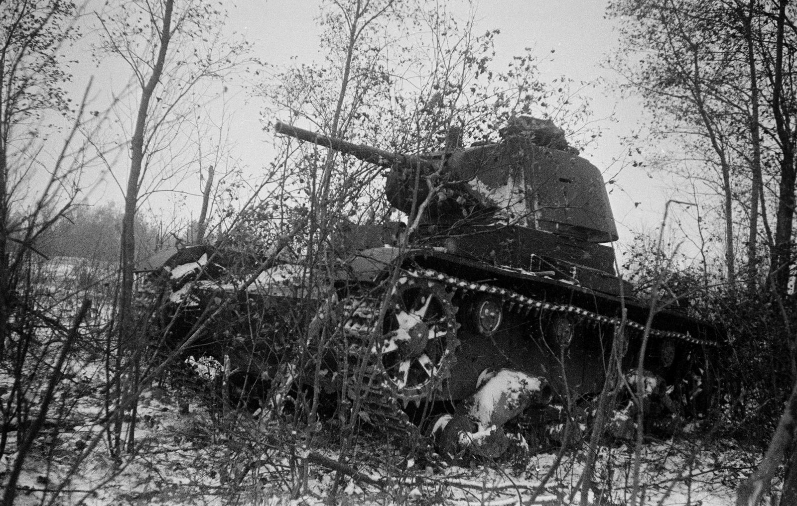 T-26 hidden in woods near Moscow,  1941 (2)