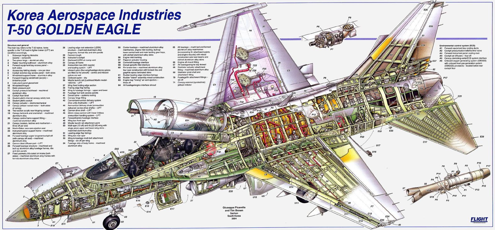 t_50cutaway