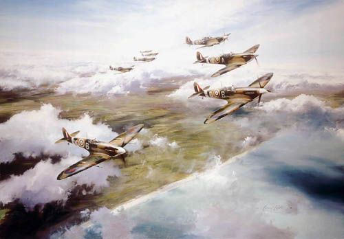 Tangmere wing by Robert Taylor