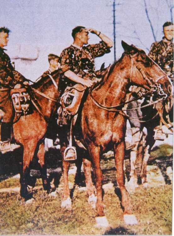The SS Cavalry Division Florian Geyer in their advance to Russia