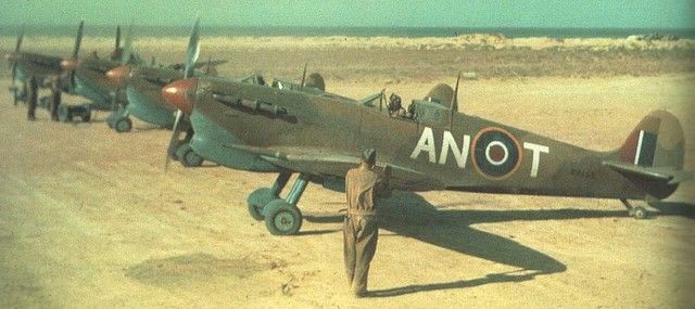 Tunisia, April 1943 Spits