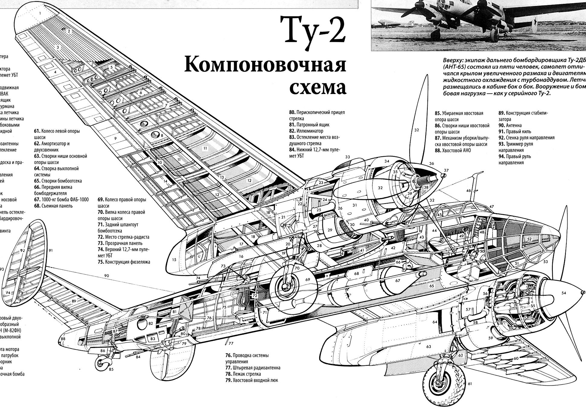 TY-2