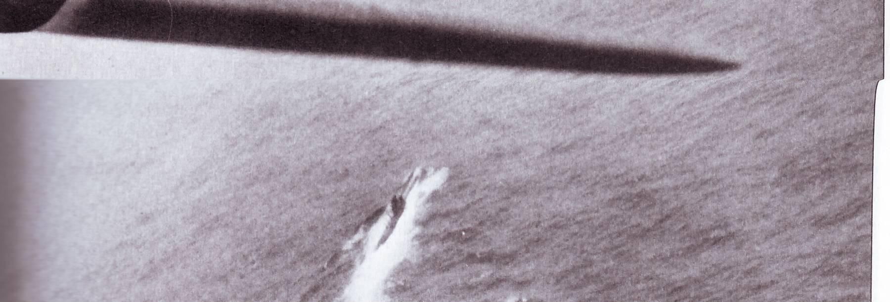 U-55 | Aircraft of World War II - WW2Aircraft.net Forums