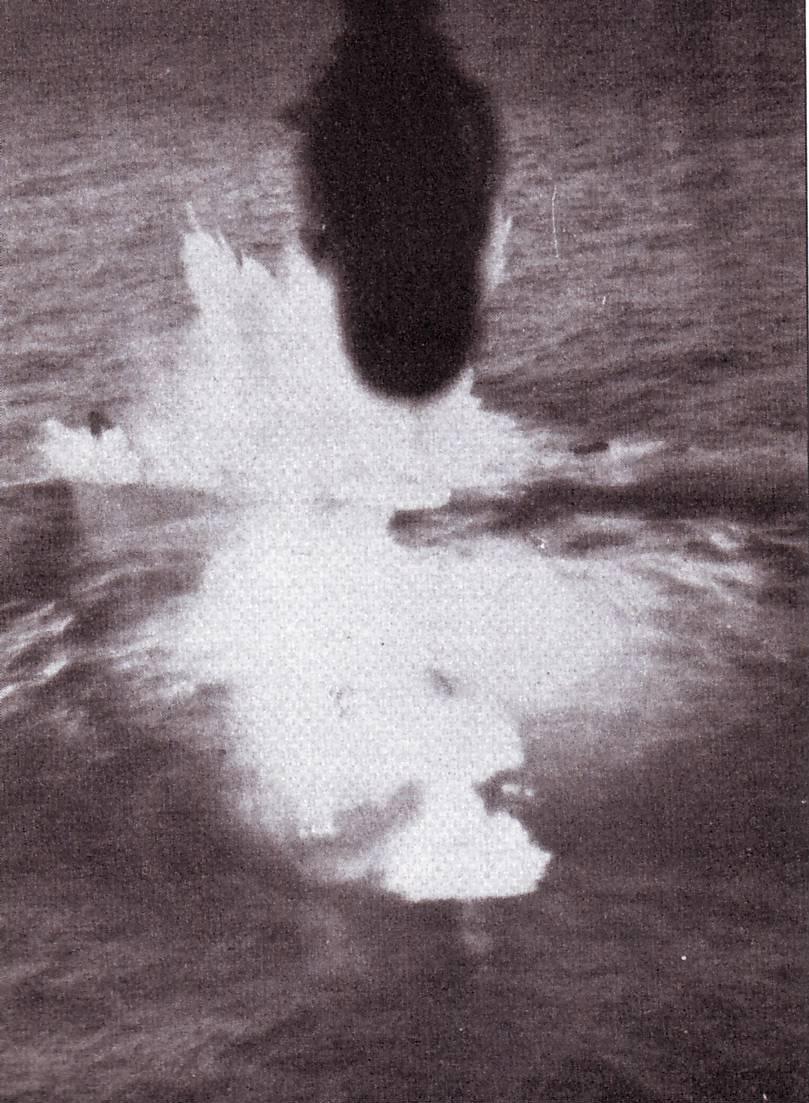 U-558