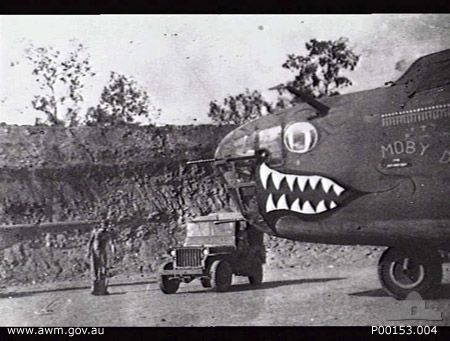 Various Nose Art