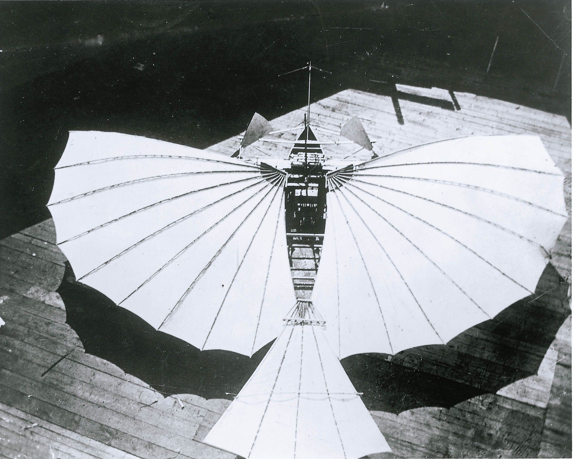Whiteheads Flying Machine "No. 21".