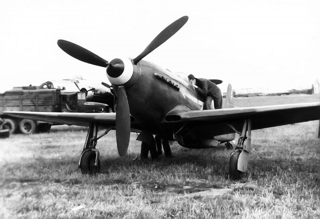 Yak-3, the  Normandie-Niemen Regiment.